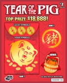 year-of-the-pig-front-318134